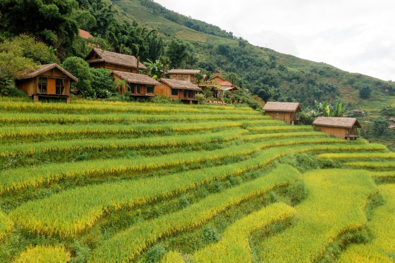Hotel Eco Palms House - Sapa Retreat Exterior foto